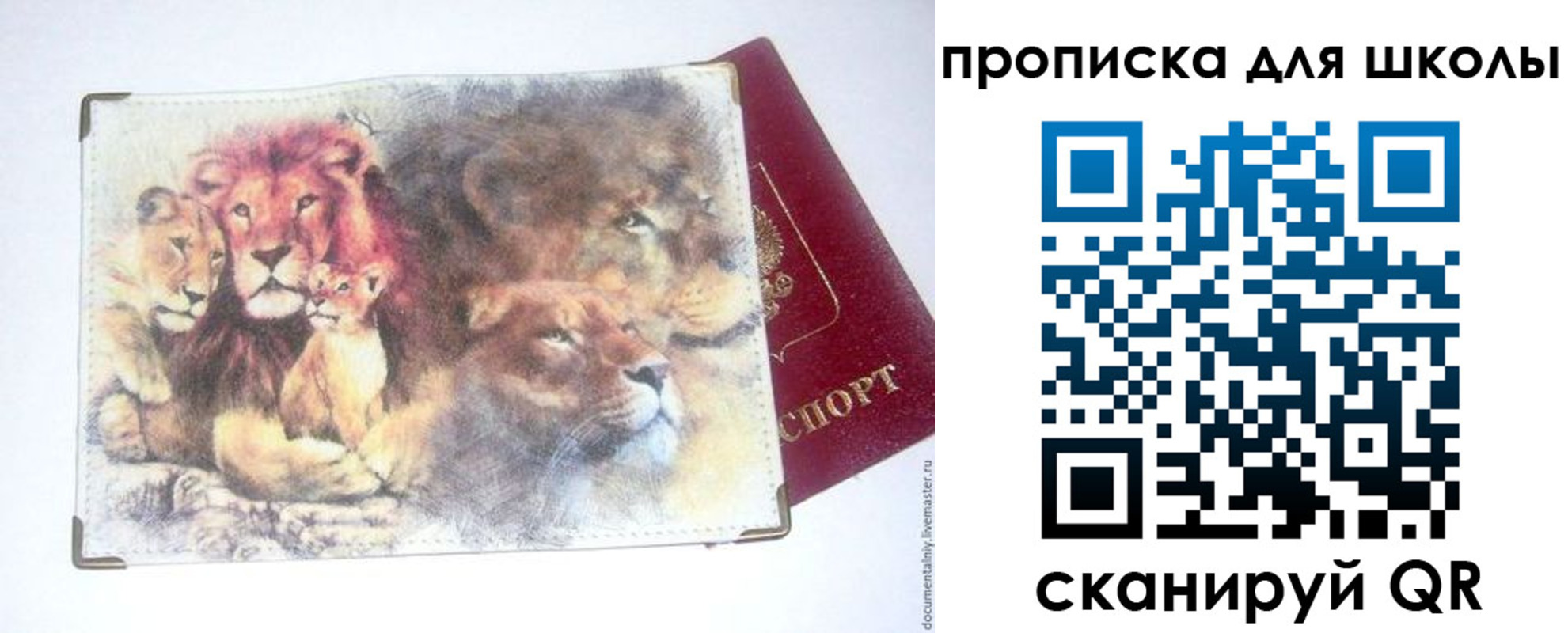 временная регистрация гарантия в Дубне